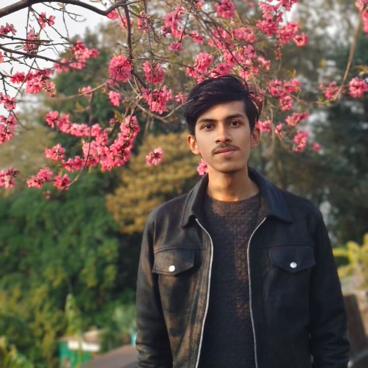 Ayush Chowdhury